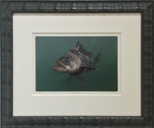fish picture framed