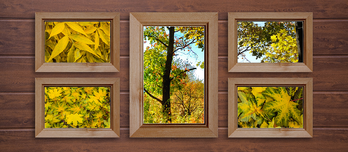 Fall art frames